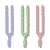Want to know more about any item? Click on its picture for full description...